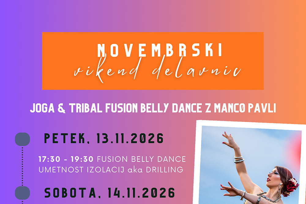 NOVEMBRSKI VIKEND DELAVNIC